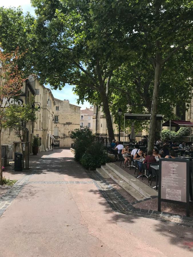 Superbe ! Appart T2 - Centre Historique & Tram - Situation Ideale Montpellier Exterior foto