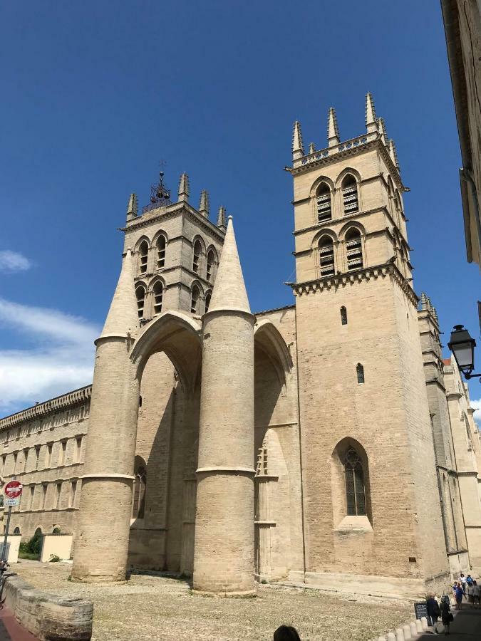 Superbe ! Appart T2 - Centre Historique & Tram - Situation Ideale Montpellier Exterior foto
